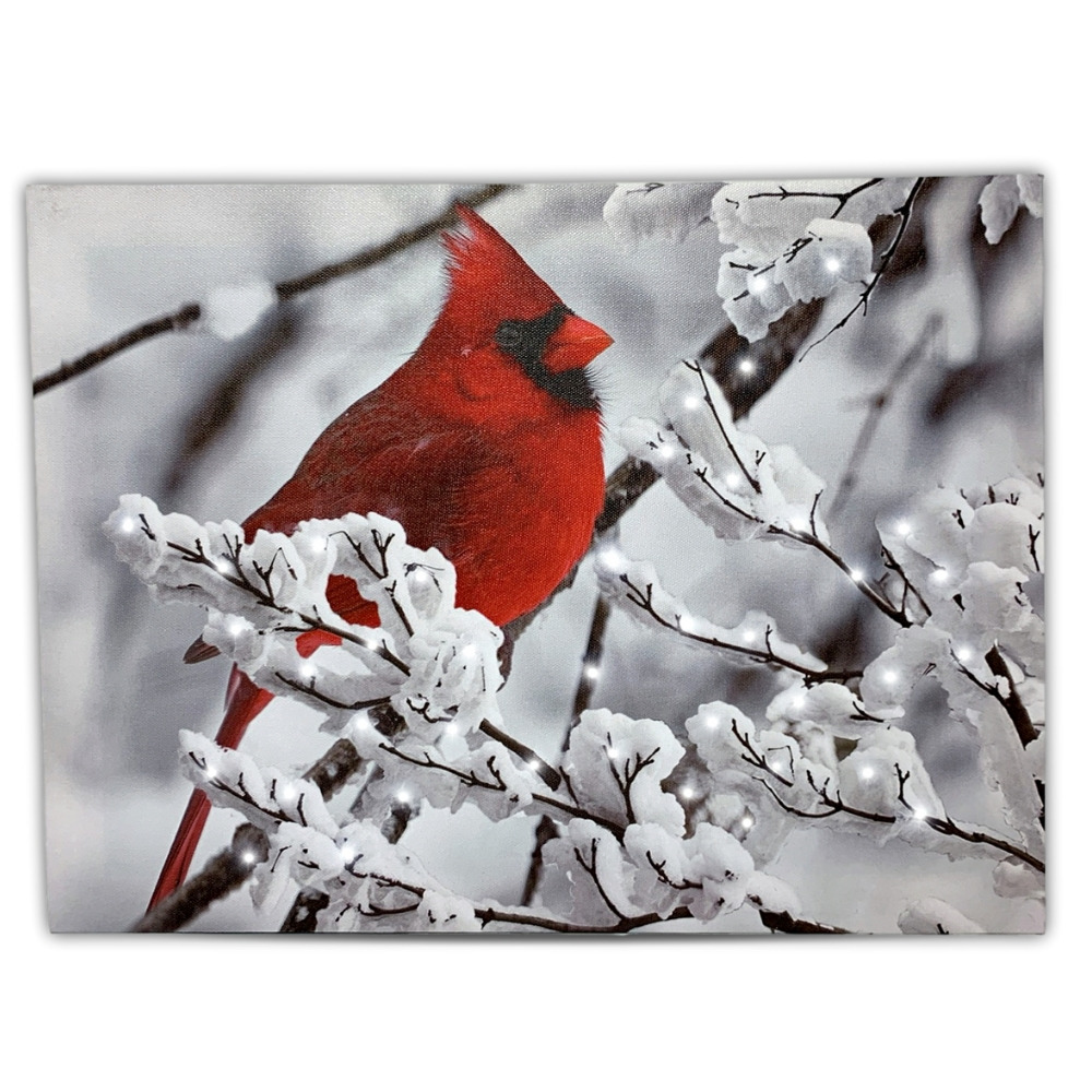 2633 - CARDINAL ON SNOWY BRANCH