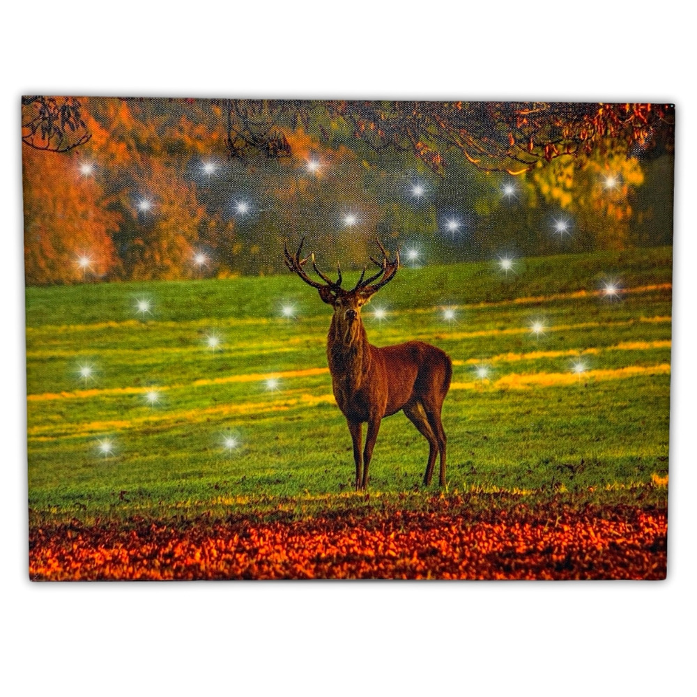 2650 - CANVAS PRINT-LARGE BUCK