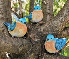 2146 - SET/3 Assorted Bluebirds Trio