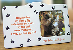2303 - Paw Prints  Picture Frame