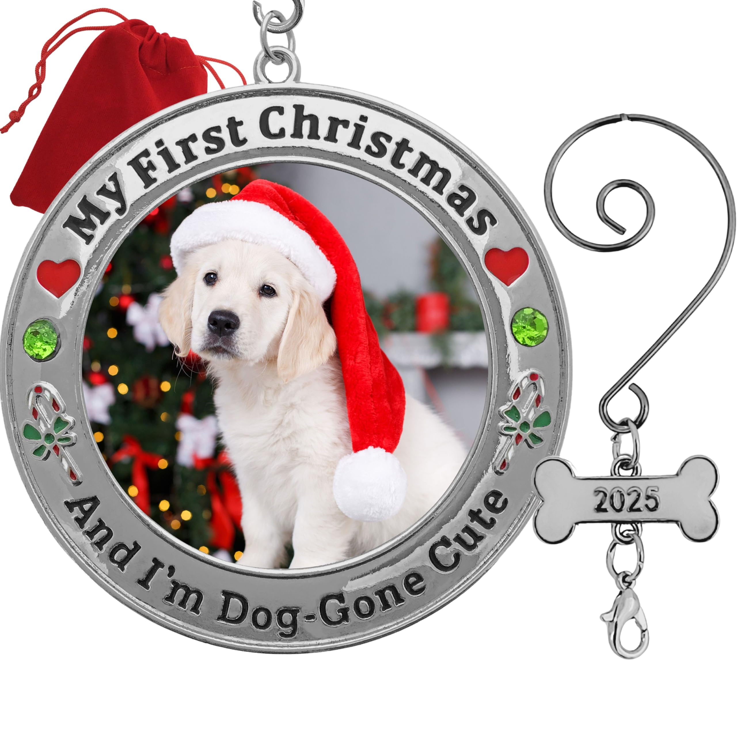 2736 - DOG-GONE CUTE 1ST CHRISTMAS PET ORNAMENT