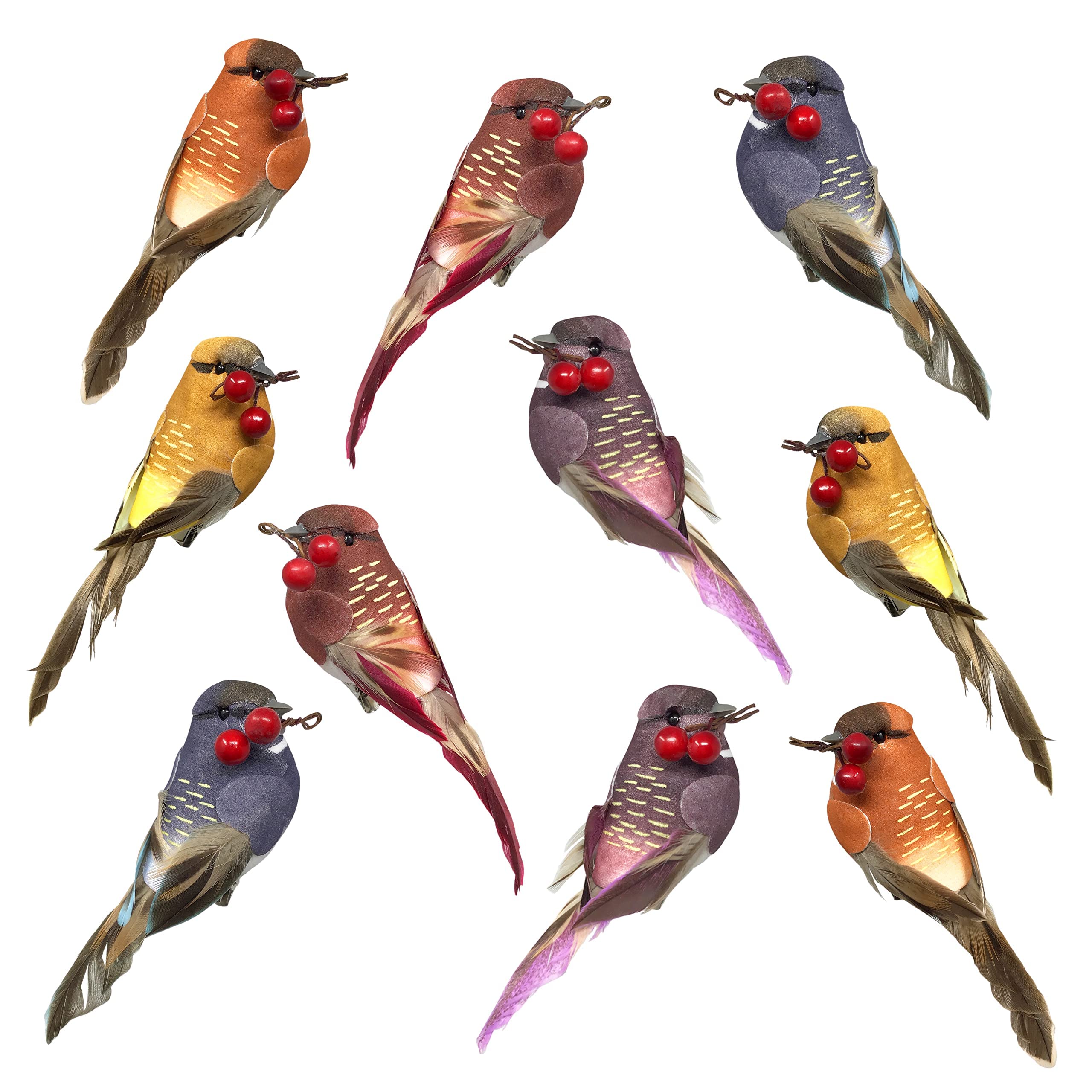 3644 - SET/10 -SONGBIRD CLIP-ONS -2 EA-5 COLORS -4" LONG