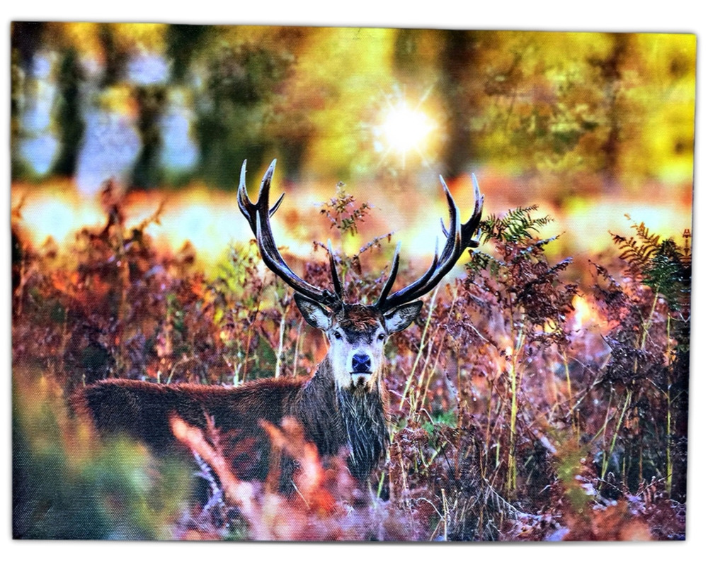 2502 LED CANVAS PRINT-DEER