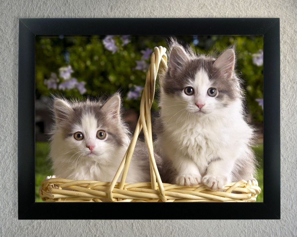 2613 3-D WALL ART - KITTENS AND BASKET