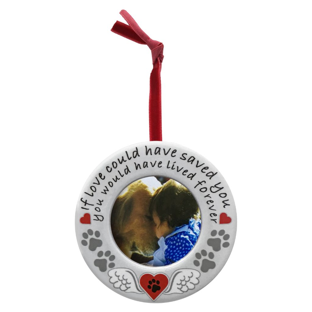 2240 - IF LOVE COULD'VE SAVED YOU PET PHOTO ORNAMENT