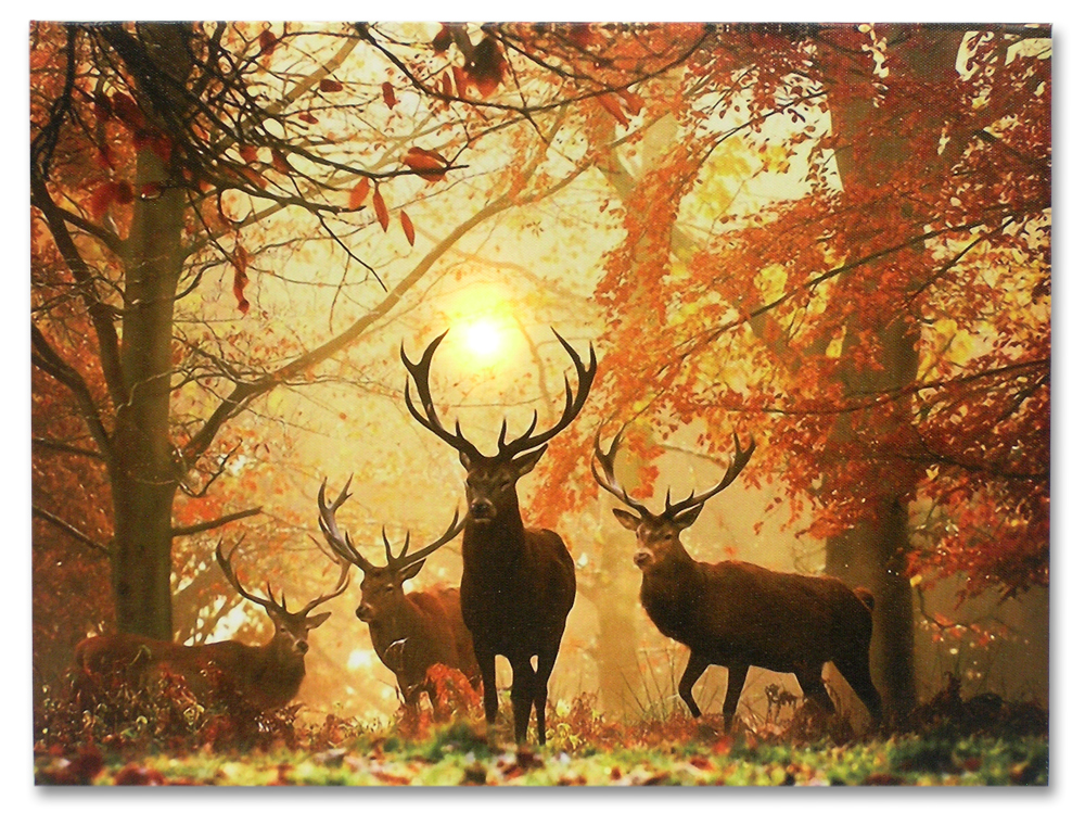 2527 LED CANVAS PRINT-3 DEER/TREES