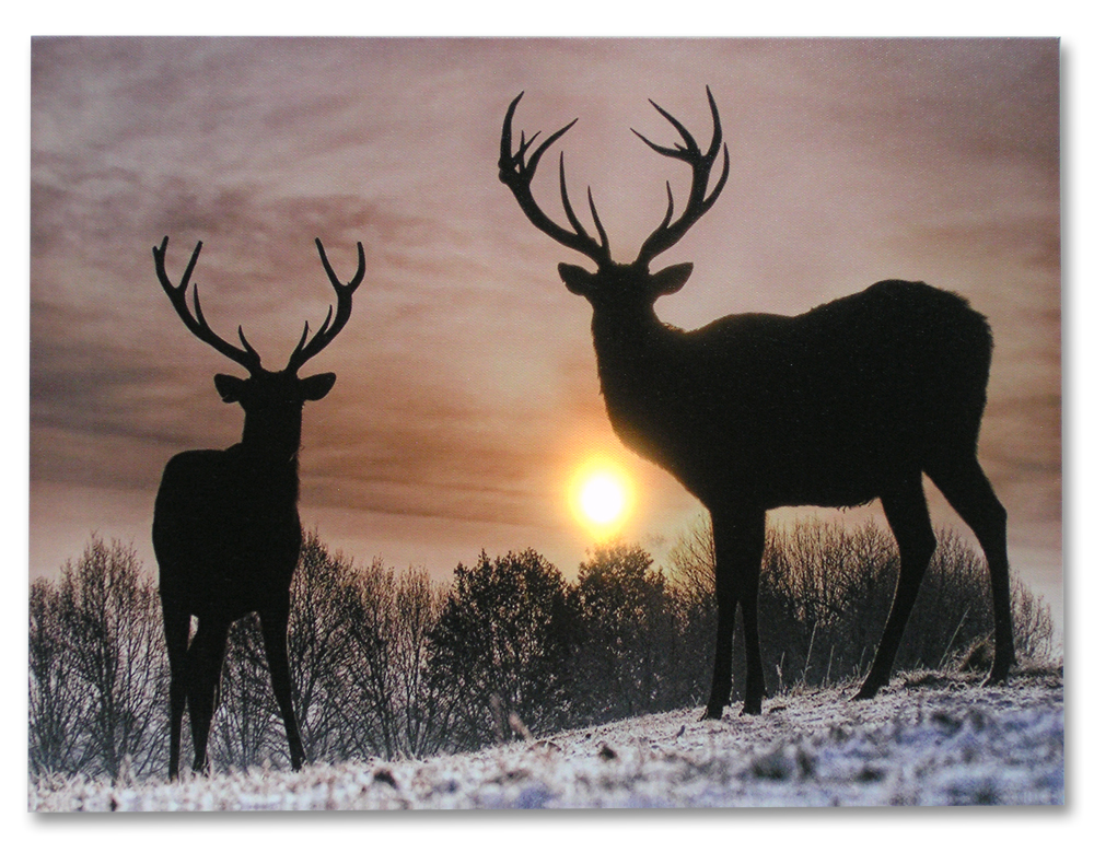 2530 - LED CANVAS PRINT-2 DEER