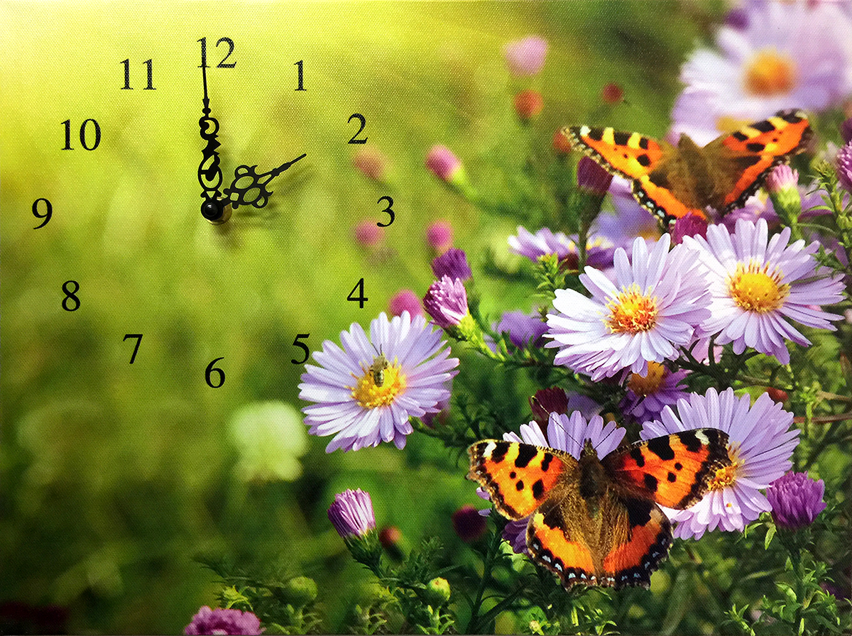 2616 BUTTERFLY CLOCK WALL ART