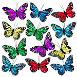 SET/12 -MULTI-COLOR MONARCH BUTTERFLY w/CLIP -5.25" W