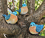 2146 - SET/3 Assorted Bluebirds Trio