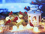 2675 - CANVAS PRINT- CARDINALS/WHITE LANTERN-TABLETOP
