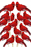 3616P - SET/24 -CARDINAL BIRDS ON WOOD PICKS -2" LONG