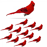 3610 - SET/12 -CARDINAL CLIP ON BIRDS - 5" LONG