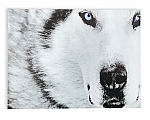 2653 - CANVAS PRINT- FACE OF A WOLF