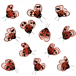 3653C - SET/12 -LADYBUG CLIP-ONS -1.5" WIDE