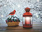 2676 - CANVAS PRINT- CARDINAL AND RED LANTERN