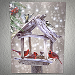 2661 - CANVAS PRINT- CRDINALS AND BIRD FEEDER
